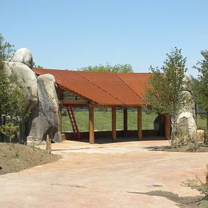 Giants of the Savanna - Cheetah viewing