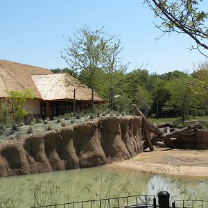 Giants of the Savanna