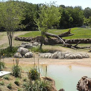 Giants of the Savanna