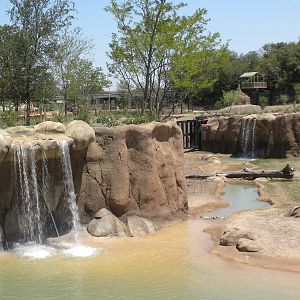 Giants of the Savanna