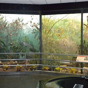 Bird exhibit in the Bird and Reptile House