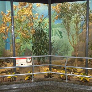 Bird exhibit in the Bird and Reptile House