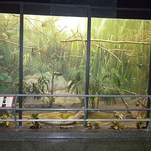 Bird exhibit in the Bird and Reptile House