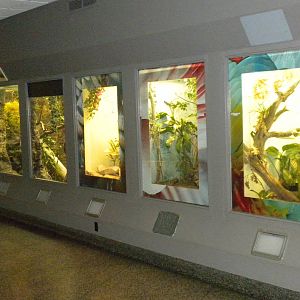 Bird exhibit in the Bird and Reptile House