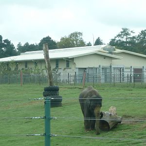 Asian Elephant Conservation Centre