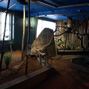 Tropikariet - Madagascar