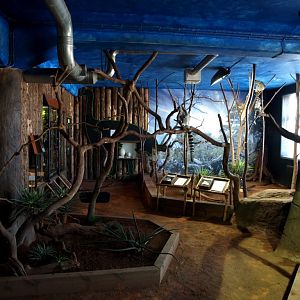 Tropikariet - Madagascar