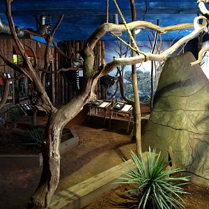 Tropikariet - Madagascar