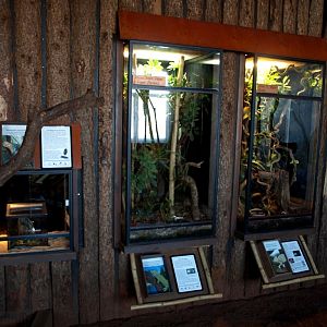 Tropikariet - Madagascar (terraria)