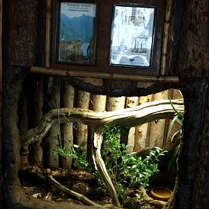 Tropikariet - Madagascar (terraria)