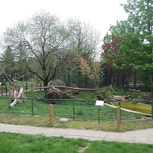 Asian Short-clawed Otter enclosure