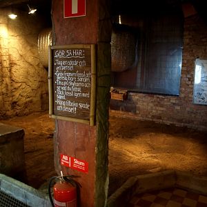 Tropikariet - Dinosaur Dig