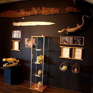 Tropikariet - Knowledge Corner