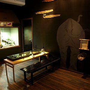 Tropikariet - Knowledge Corner