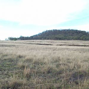 Darling Downs Developments 1c