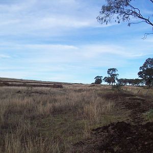 Darling Downs Developments 1d