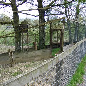 Great grey owl enclosure at Trotters World of Animals, 15 May 2010