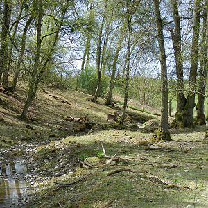 Fallow deer enclosure at Trotters World of Animals, 15 May 2010
