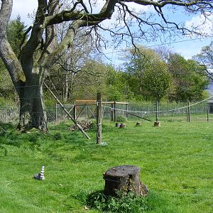 Ring-tailed lemur enclosure at Trotters World of Animals, 15 May 2010