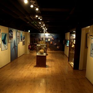Tropikariet - Shark and coral exhibition