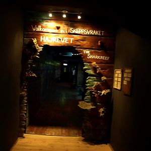 Tropikariet - Shark Reef