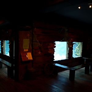 Tropikariet - Shark Reef