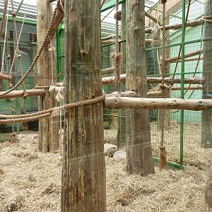 Strawed-Up Monkey and Porcupine Enclosure