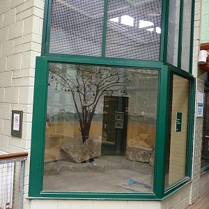 Weaverbird Aviary Progress