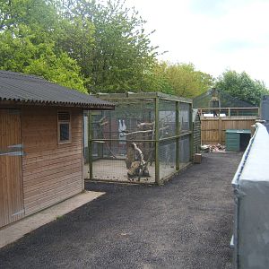 Quarantine Cage currently empty