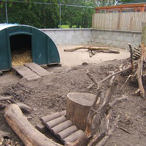 New Porcupine enclosure