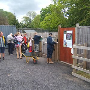 Feeding time for the Porcupine