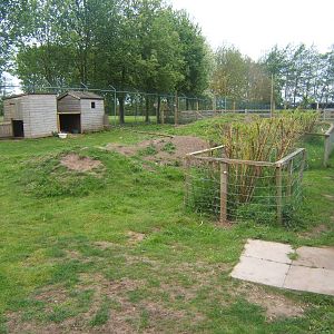 Part of Mara enclosure