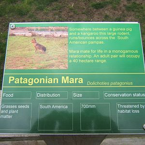 Mara sign