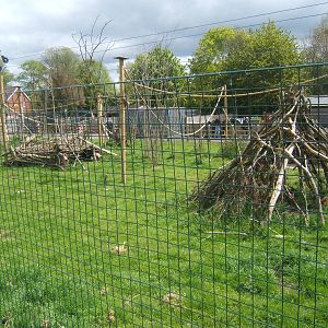 Ring-tailed Lemur/Reevse Muntjac enclosure