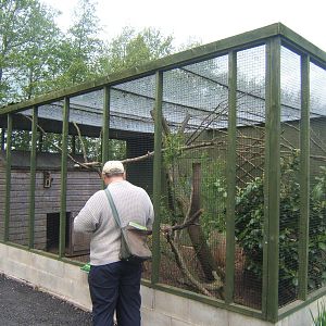Swinhoes Pheasant enclosure