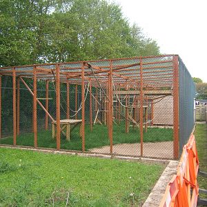 Spider Monkey enclosure