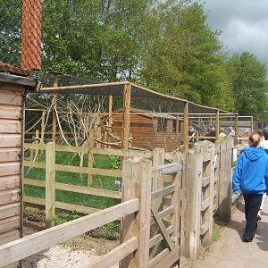 New Marmoset and Tamarin enclosures