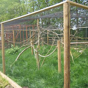 New Marmoset and Tamarin enclosures