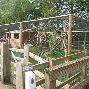 New Marmoset and Tamarin enclosures