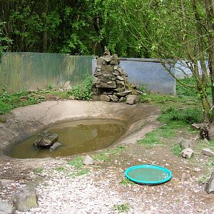 Asian small-clawed otter enclosure at Galloway Wildlife Conservation Park,