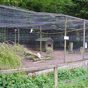 Barn owl enclosure at Galloway Wildlife Conservation Park, 16 May 2010