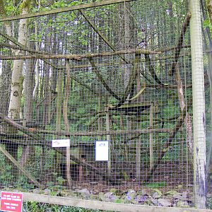 Raccoon enclosure at Galloway Wildlife Conservation Park, 16 May 2010