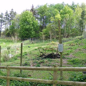 Maned wolf enclosure at Galloway Wildlife Conservation Park, 16 May 2010