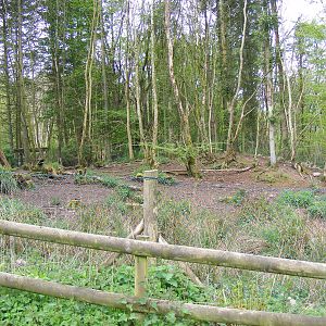 Collared peccary enclosure at Galloway Wildlife Conservation Park, 16 May 2