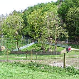 North American tree porcupine enclosure at Galloway Wildlife Conservation P