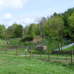 Caracal lynx enclosure at Galloway Wildlife Conservation Park, 16 May 2010
