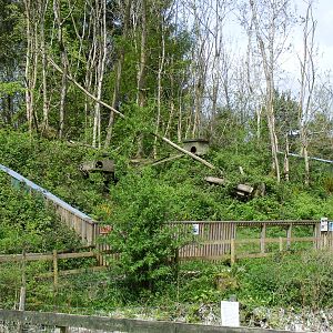 Red panda enclosure at Galloway Wildlife Conservation Park, 16 May 2010