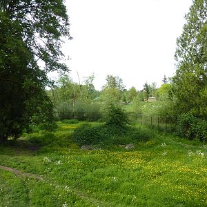 1-Acre Arctic Wolf Enclosure