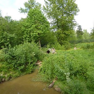 1.5 Acre Grizzly Bear Enclosure