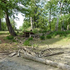 2-Acre Wild Boar Enclosure